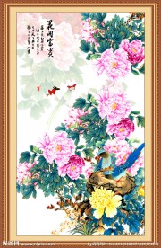 牡丹