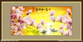 玉兰花