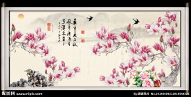 玉兰花