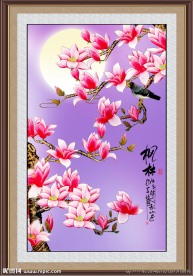 玉兰花