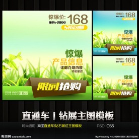 限时抢购直通车钻石展