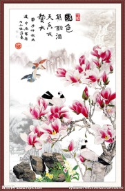 玉兰花