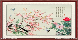 桃花 花开富贵