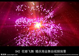 紫色花瓣起舞婚庆商业