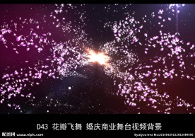 紫色花瓣飞舞婚庆商业