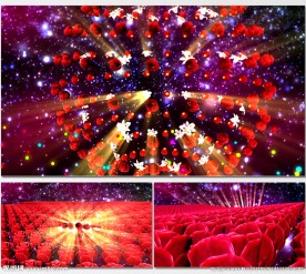 星空花海起舞舞蹈LED