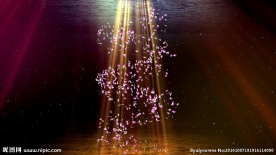 旋转花瓣视频背景素材