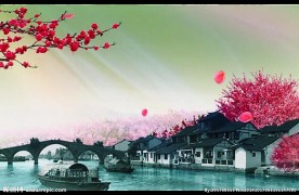 滴水江南视频素材