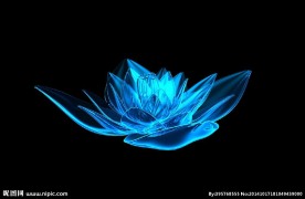 蓝色水晶莲花旋转