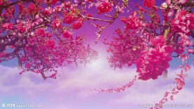 唯美浪漫梅花大气花辨