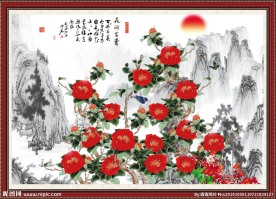 牡丹国画