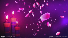 婚庆视频LED素材落花