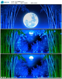 星空圆月蝴蝶竹林孔雀