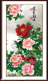 富贵牡丹