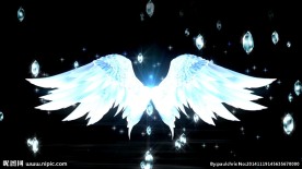 ED系列天使翅膀