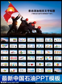 中国石油报告会议总结