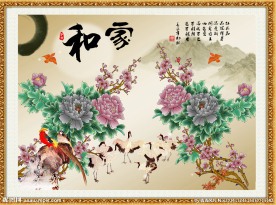 牡丹花