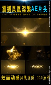 凤凰涅槃LOGO演绎片头