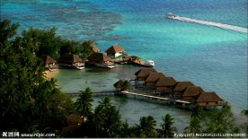 海边椰子林风景高清视频素材