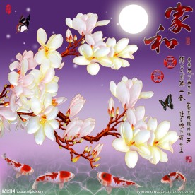 钻石画十字绣家和富贵玉兰鲤鱼