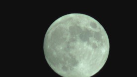 高清实拍月亮升起圆月特写视频合