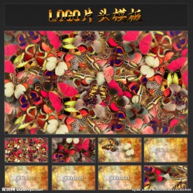 七彩蝴蝶群舞LOGO片头