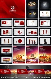 大龙城市广场VI