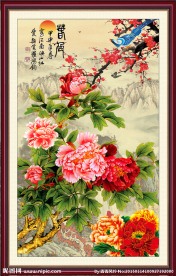 花开富贵