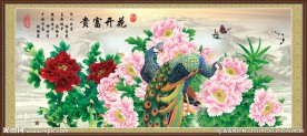 牡丹花