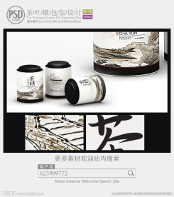 中国风茶罐子包装设计展开图