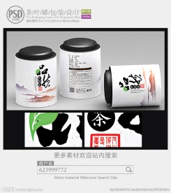 素雅茶叶罐子包装设计