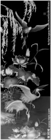 荷花灰度图