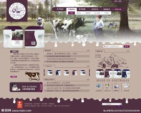 奶粉 牛奶 网站 网页  奶牛