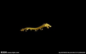 金色龙飞舞抠像通道素材