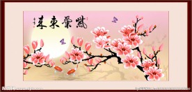 玉兰花