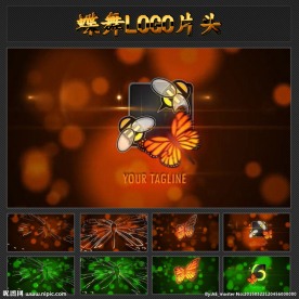 蝶舞LOGO片头