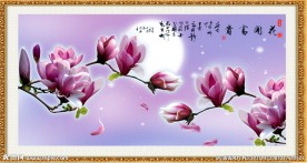 玉兰花