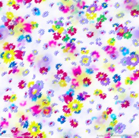 手绘蜡笔效果小花 ps分层