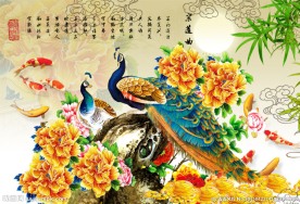 孔雀图
