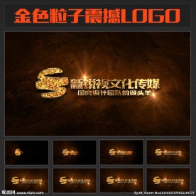 金字火焰LOGO模板