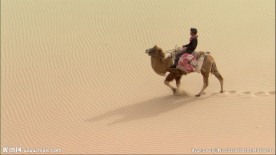 丝绸之路 沙漠丝路