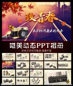 致青春唯美怀旧同学会相册