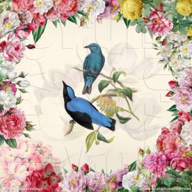 未分层手绘玫瑰花环花鸟装饰画