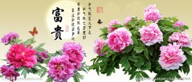富贵吉祥图