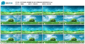 绿色草地婚礼 清新蝴蝶大树视频