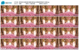 桃花林浪漫花瓣 婚礼led视频