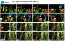 森林婚礼木屋蝴蝶群飞LED视频