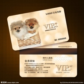 宠物会员卡图片