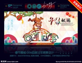 2016春节回家过年