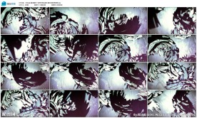 酒吧vj魔术魔幻翅膀飞飞背景